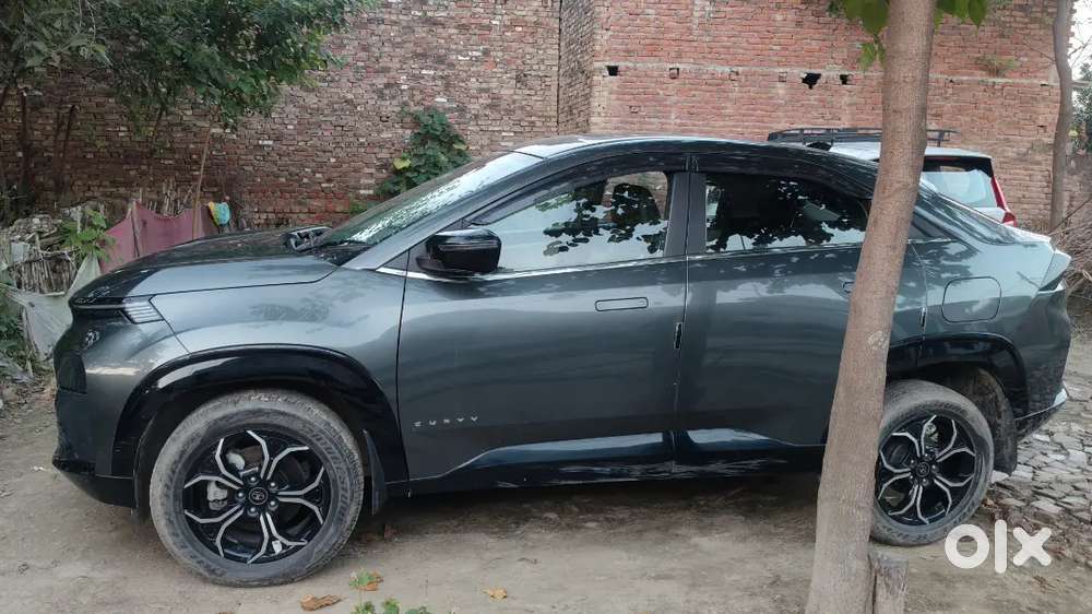 Tata Curvv 11/2024 Petrol Good Condition