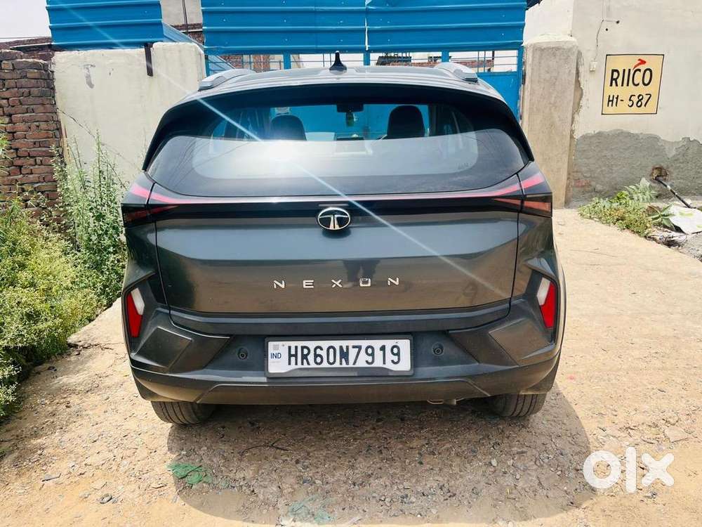 Tata Manual Petrol 2024