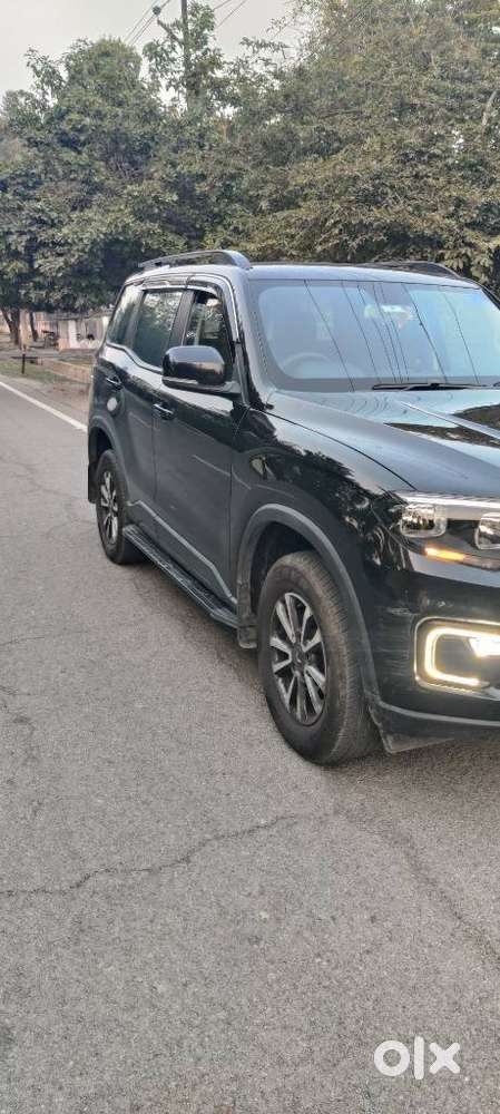 Mahindra Scorpio N Z4 Petrol Mt 7 Str, 2024, Petrol