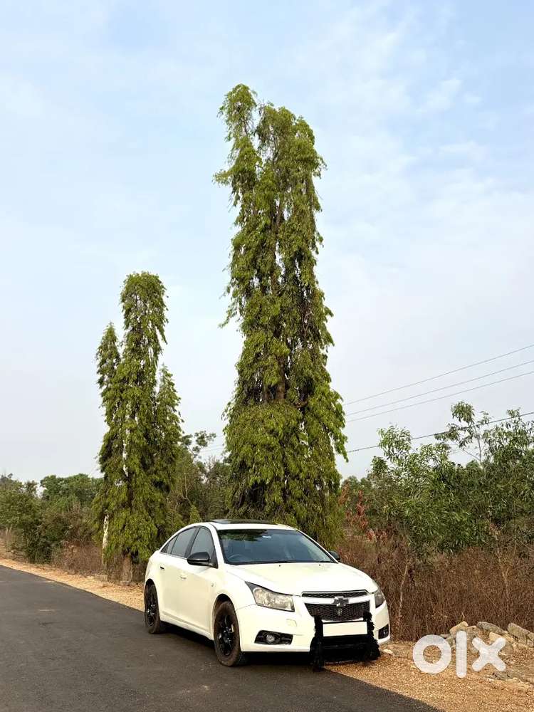 Chevrolet Cruze 2011 Diesel Well Maintained