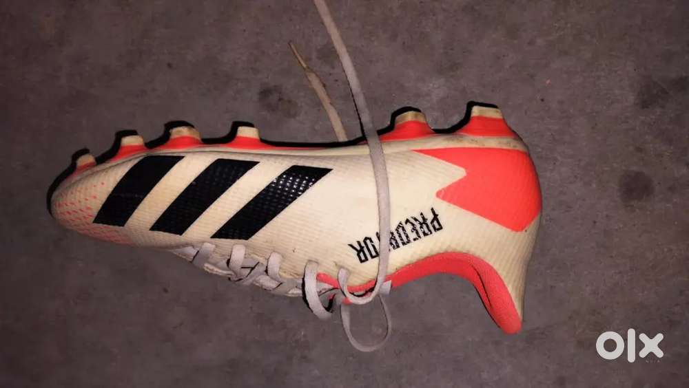 Olx adidas sales predator