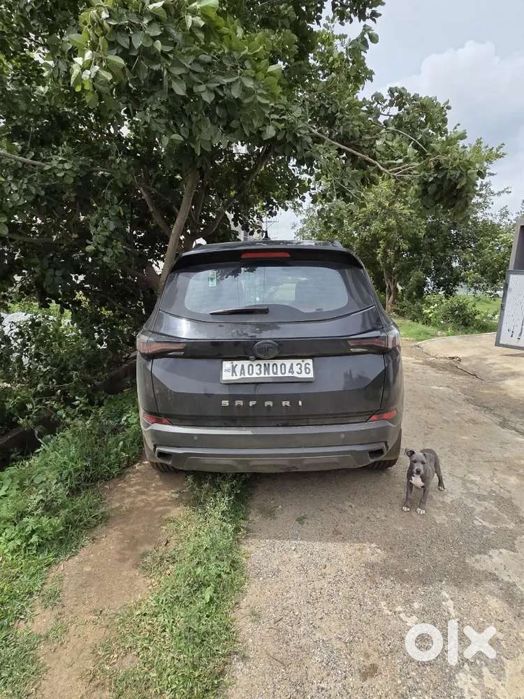 Tata Safari Diesel Automatic 2023 Edition