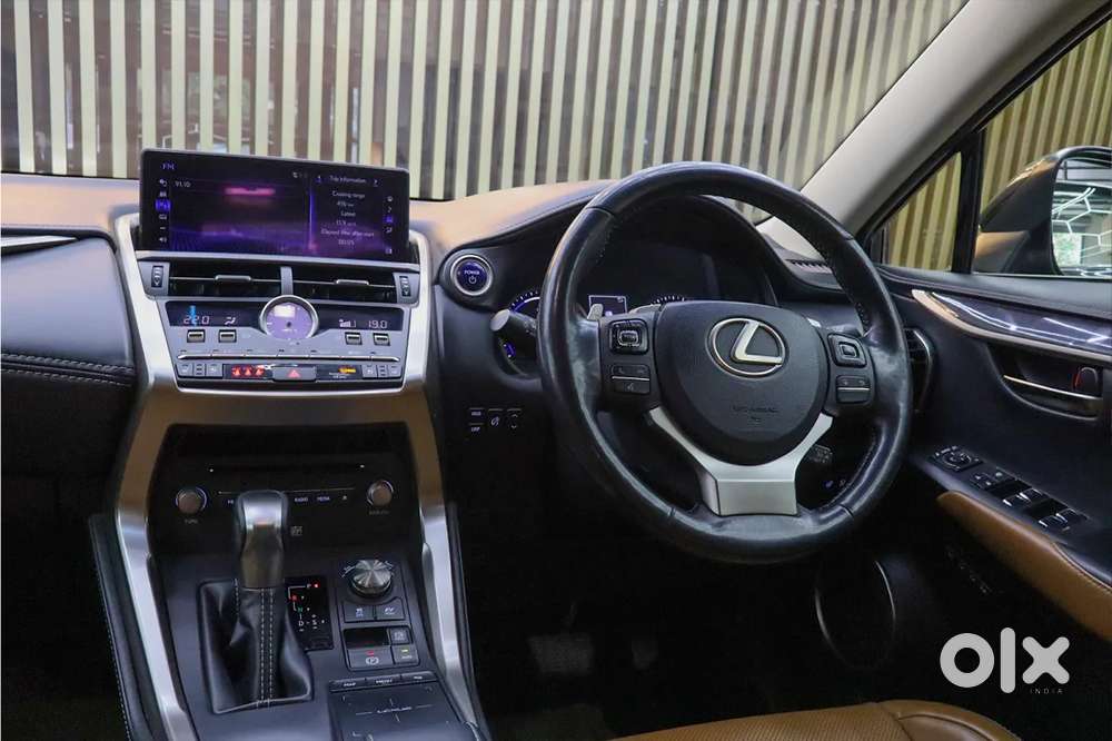Lexus Nx, 2019, Petrol
