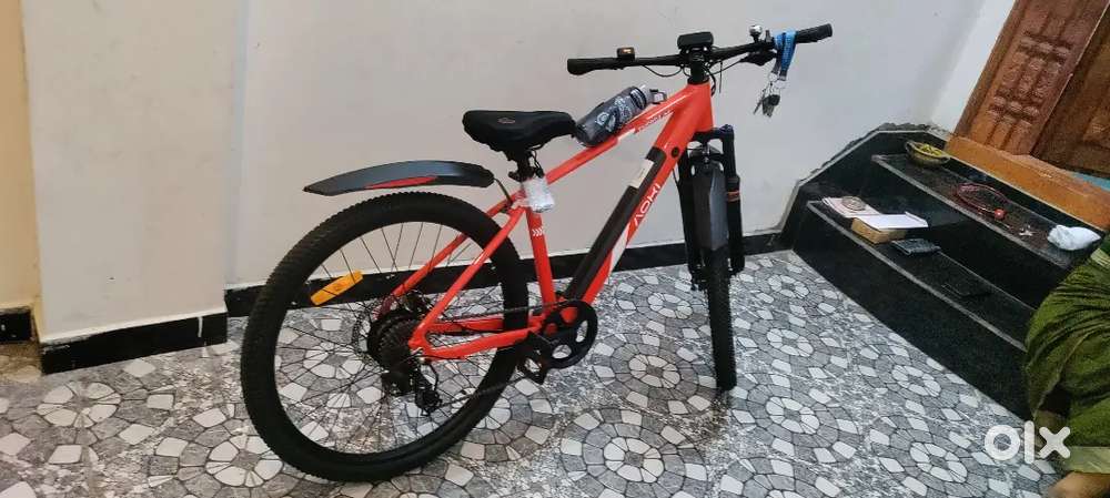 Electric cycle for sale
