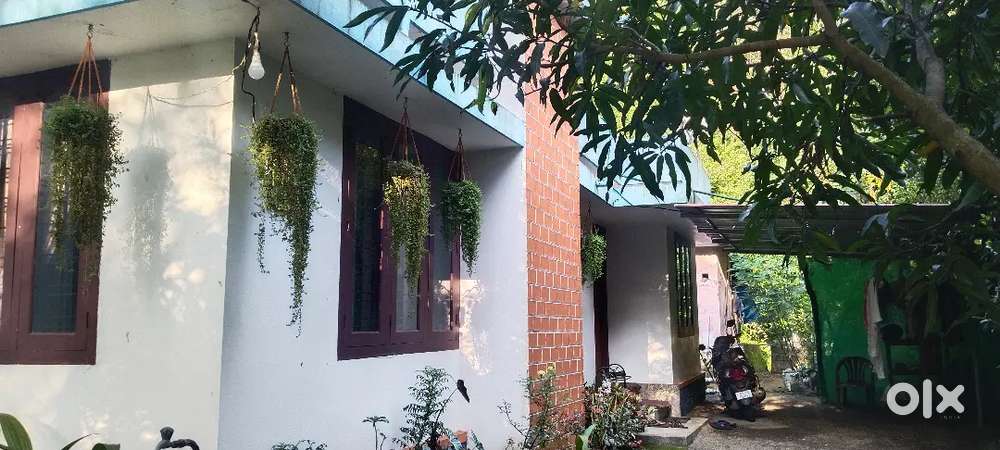85 cent land with house for sale in Thodupuzha