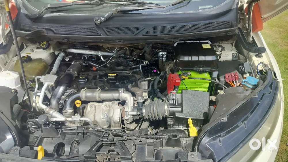 Ford Ecosport Diesel 2015 Variant Ap Registration Vehicle