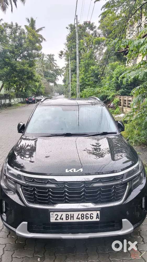 Kia Seltos 2024 Petrol Well Maintained