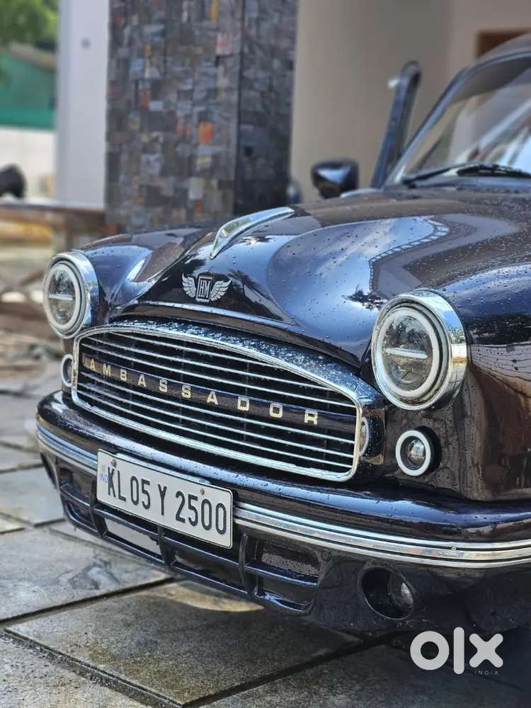 Ambassador