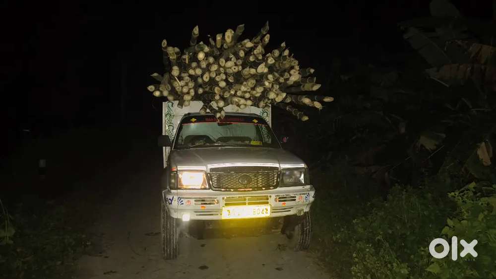 Tata Safari Seller
