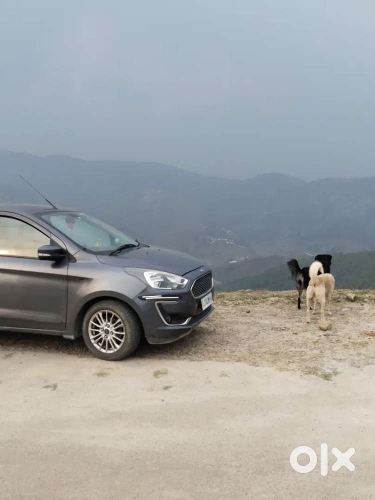 Ford Figo Aspire 2019 Petrol 57876 Km Driven