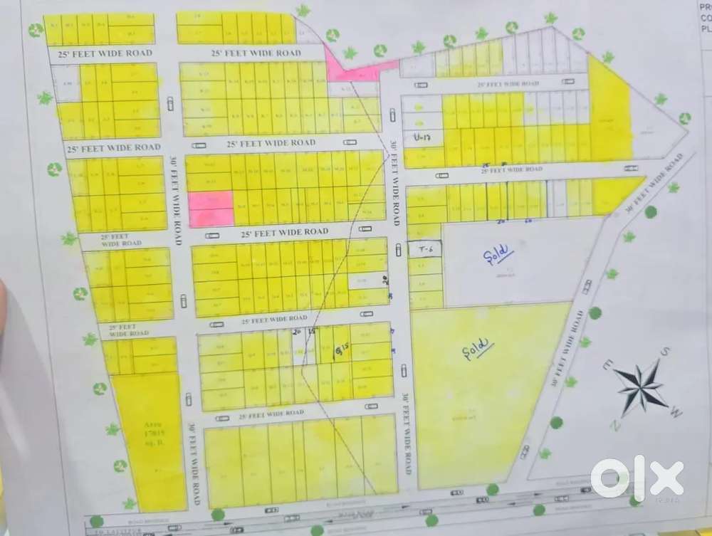 Shandar plots