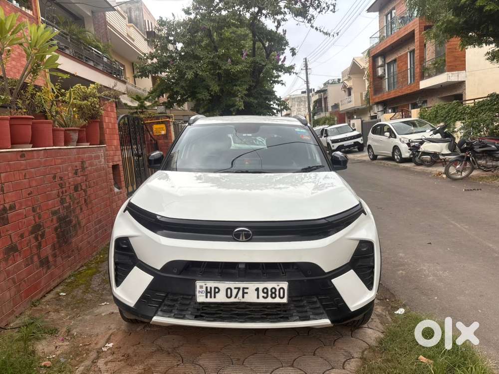 Tata Nexon 2024 Petrol Good Condition