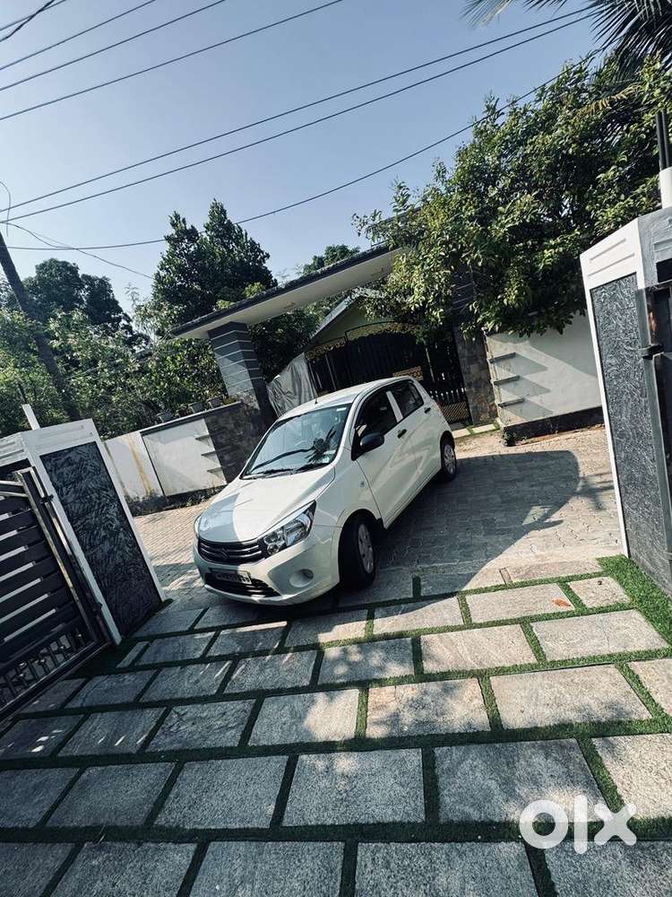 Maruti Suzuki Celerio 2017 Petrol Well Maintained