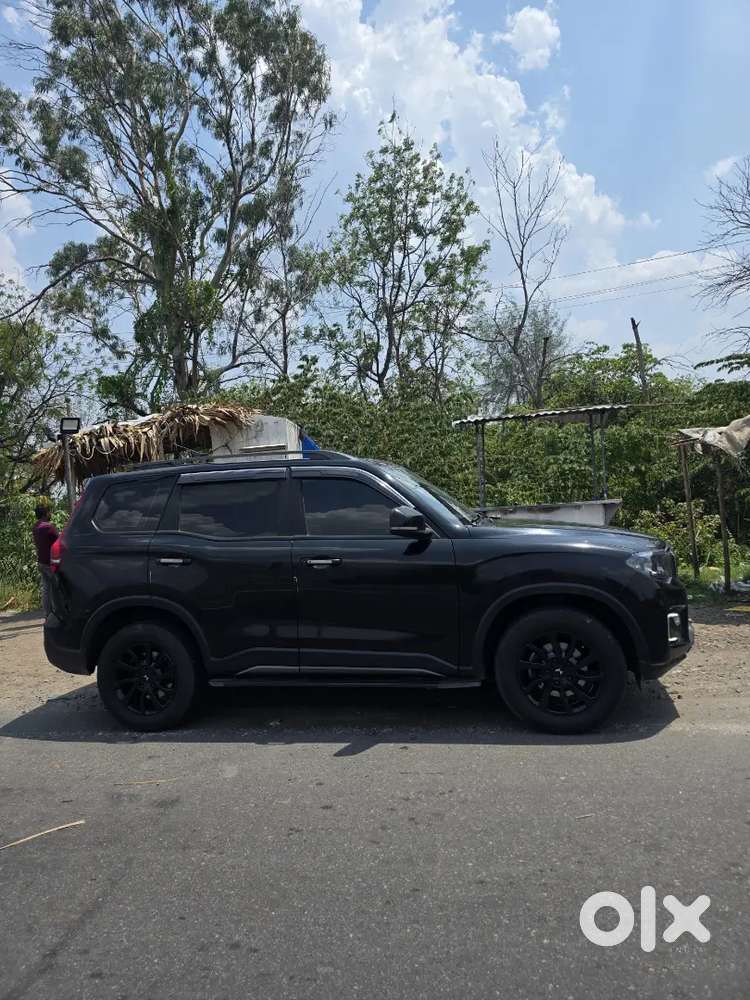Ebony Edition Full Black