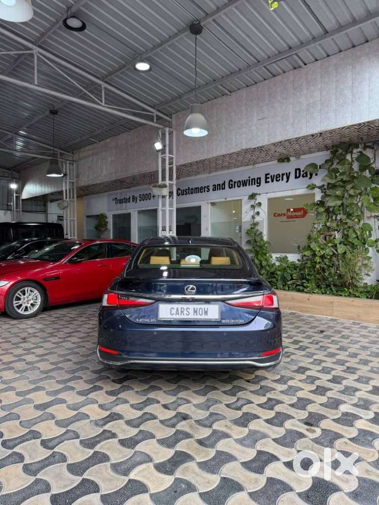 Lexus Es 300h Luxury, 2024, Petrol