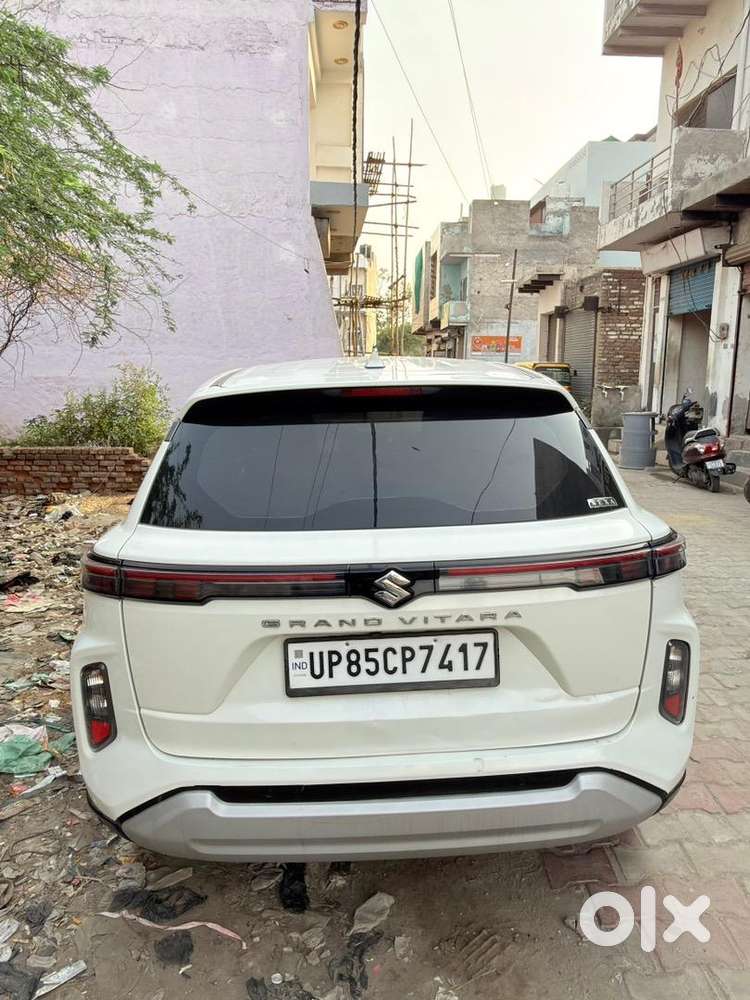 Maruti Suzuki Cng Petrol