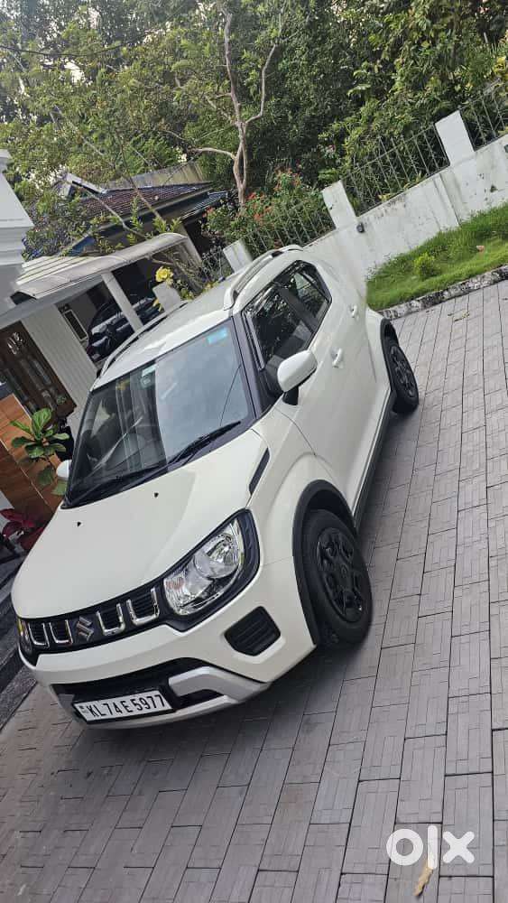 Maruti Suzuki Petrol 2025