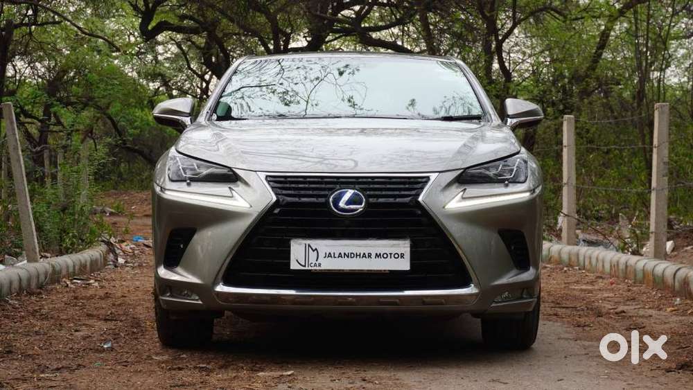 Lexus Nx Lexus-nx-300h-luxury, 2020, Petrol