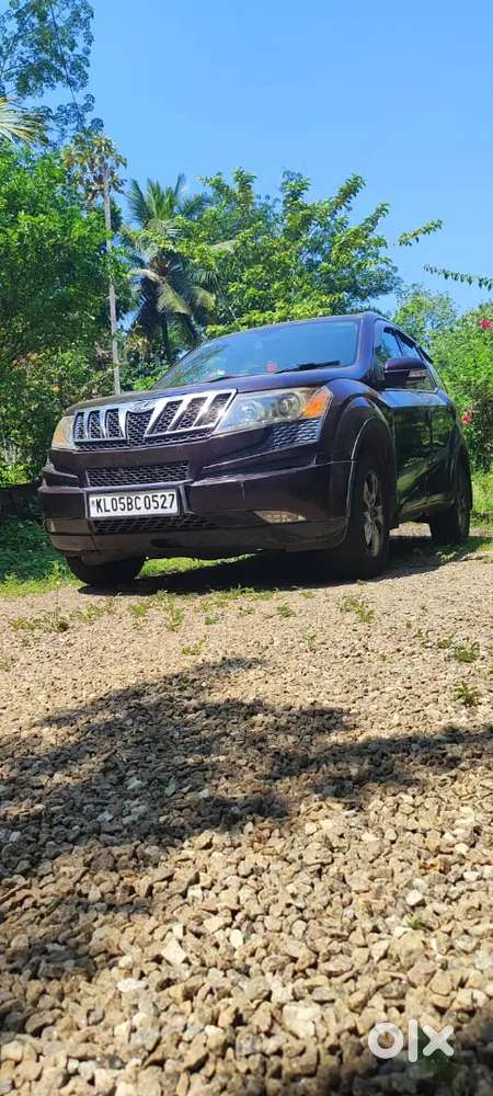 Xuv 500 Grape Colour