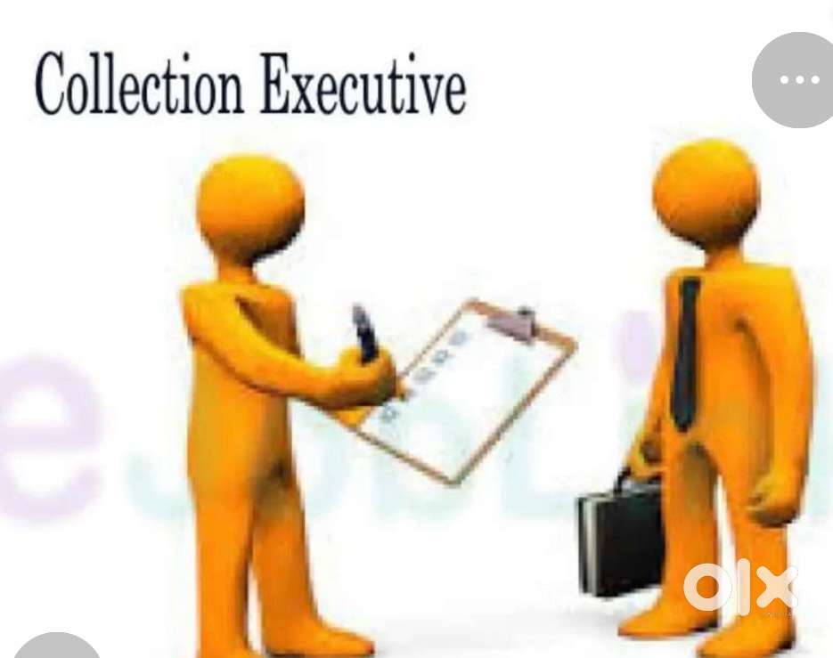 Collection executive