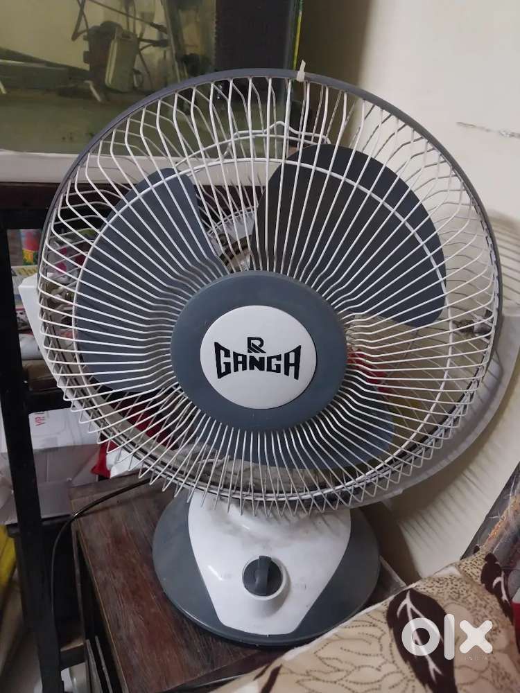 Fan 3 month old