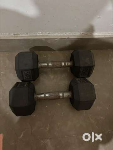 5 Kg Dumbbell Pair Gym Fitness 1790347032