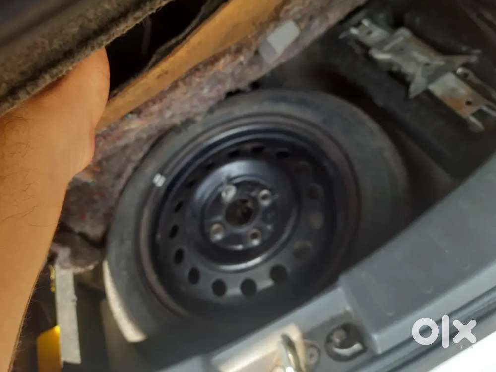 Maruti Suzuki Wagon R Flex Fuel 2011