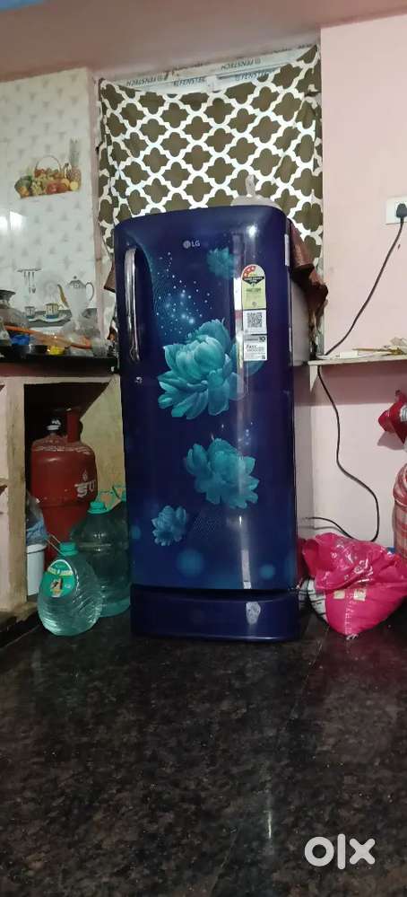 Fridge (LG) 3 star fridge 4/12/25