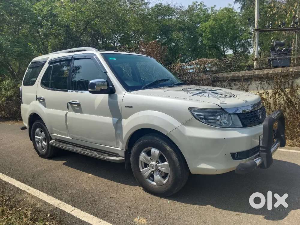 Safari Storme Top Model