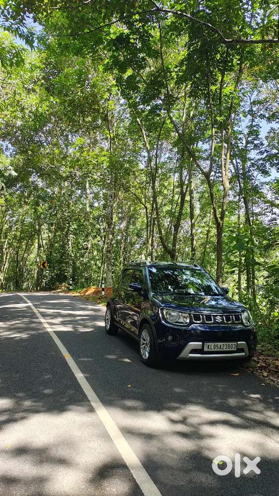 Maruti Suzuki Ignis 2022, Nov, Company Service,