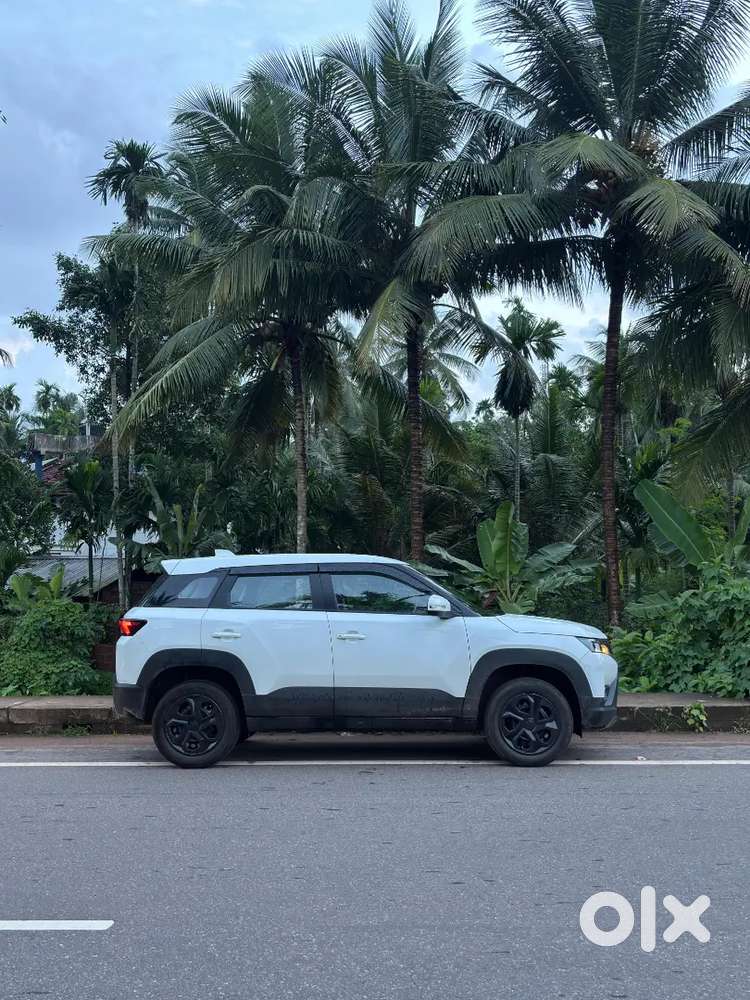 Maruti Suzuki Brezza  2024 First Owner