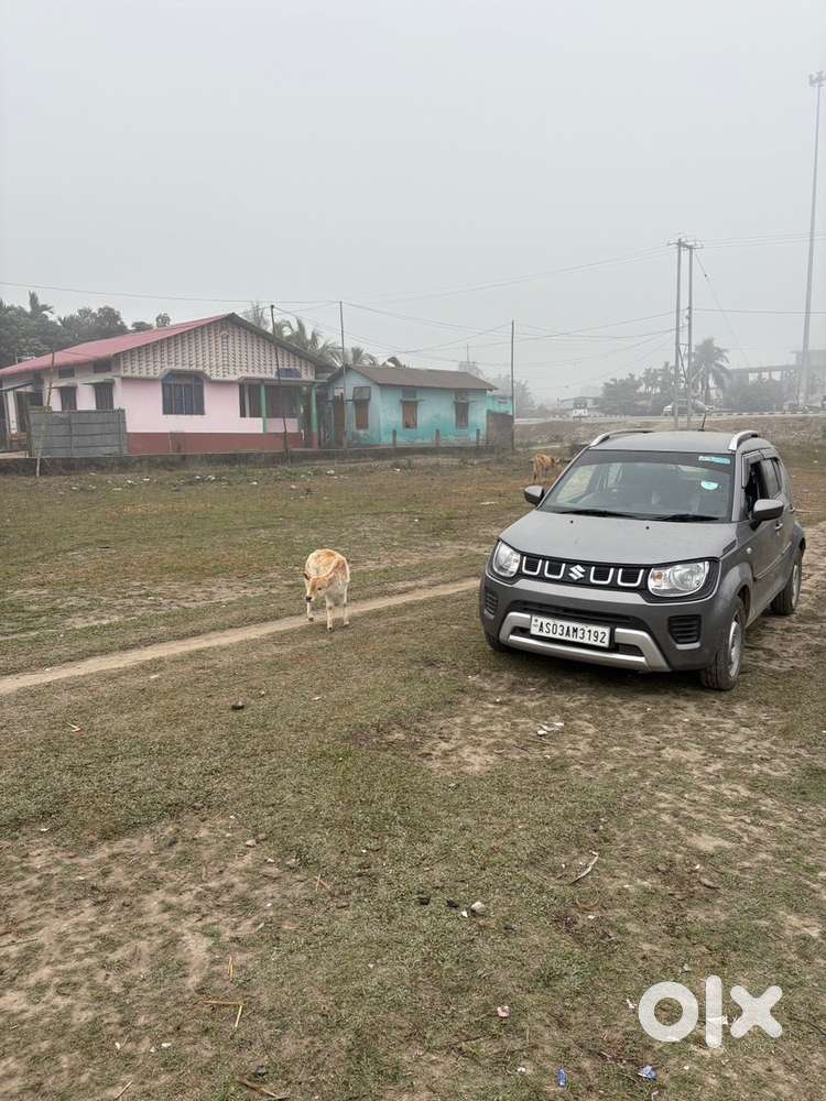 Maruti Suzuki Ignis Petrol Well Maintained