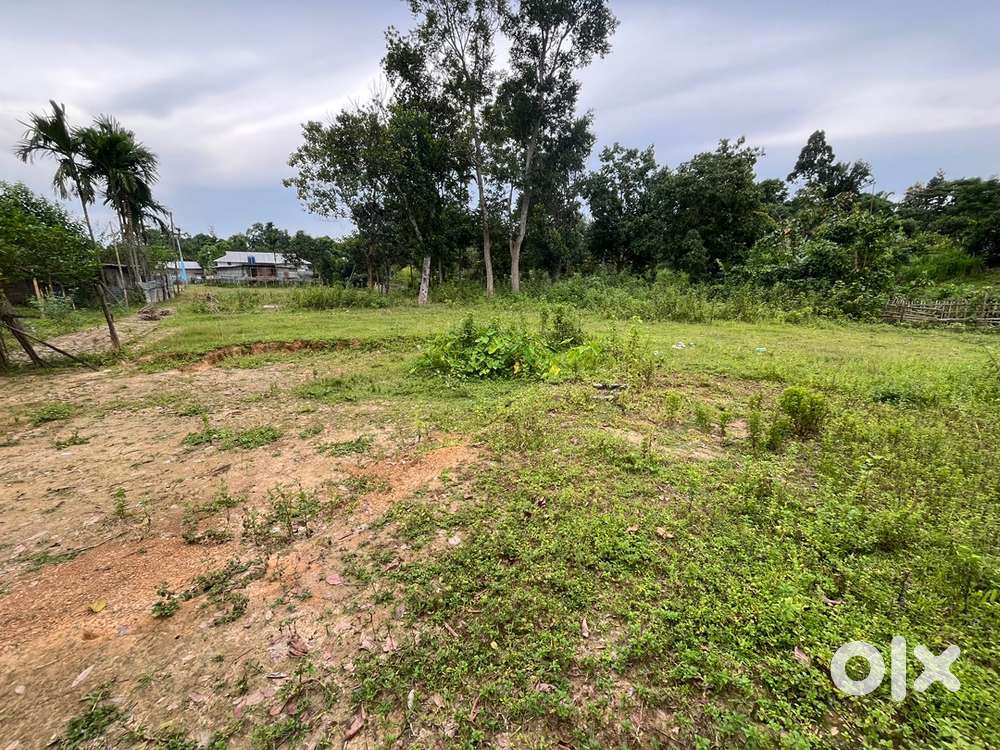 5 Gonda Plot