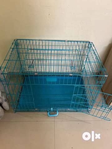 Olx kennel best sale