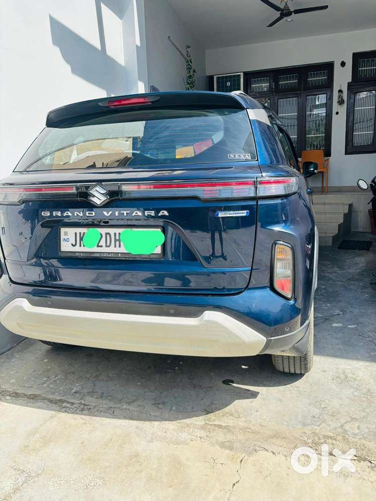 Maruti Suzuki Car 2024