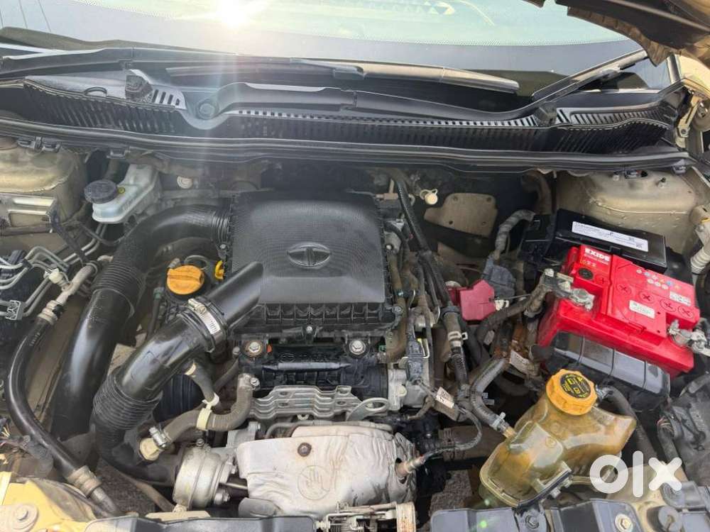 Tata Nexon Xz Plus Luxs Kaziranga, 2022, Petrol