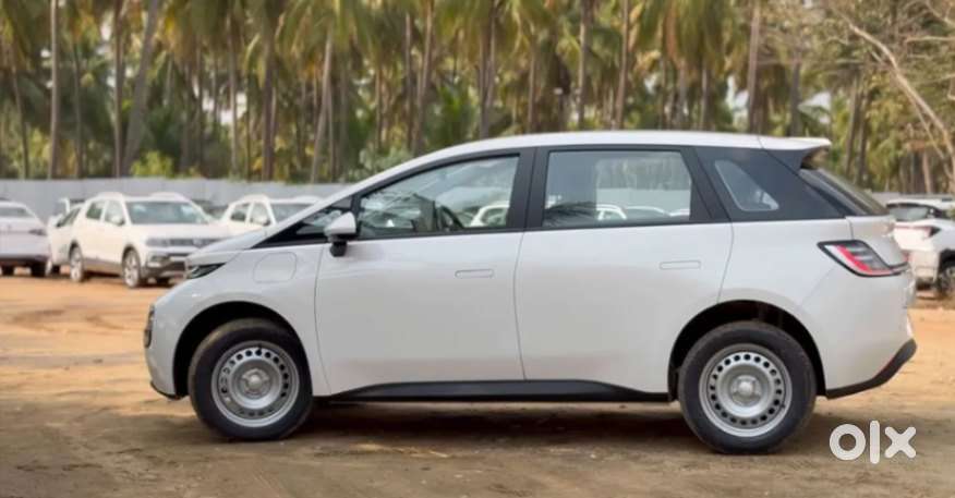 Mg Windsor Ev, 2026, Electric