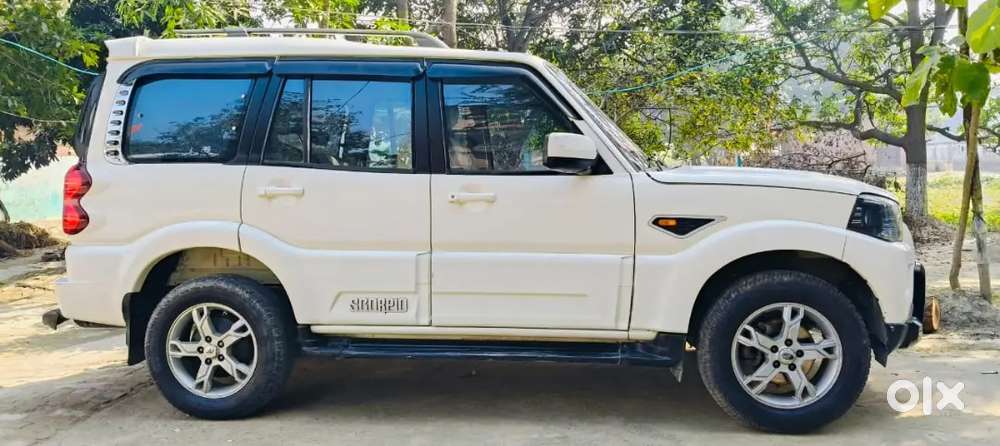 No Problem Vip No Urgent Sell