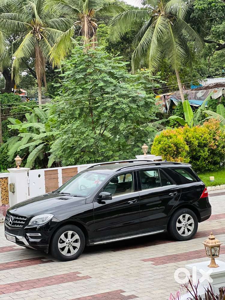 Excellent Condition Ml 350 : Family Car