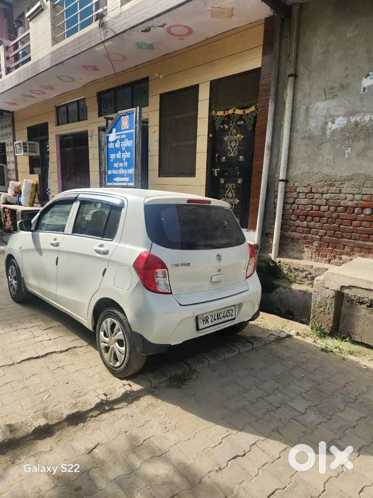 2020 Model Campany Fitted