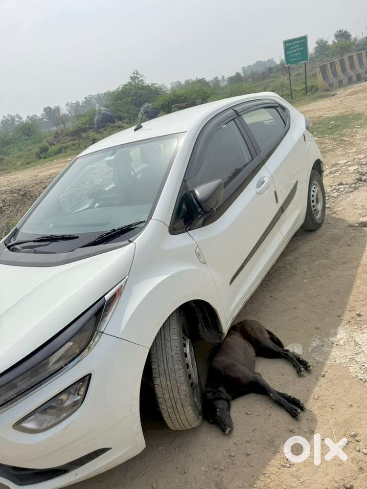 Tata Altroz 2022 Diesel Well Maintained