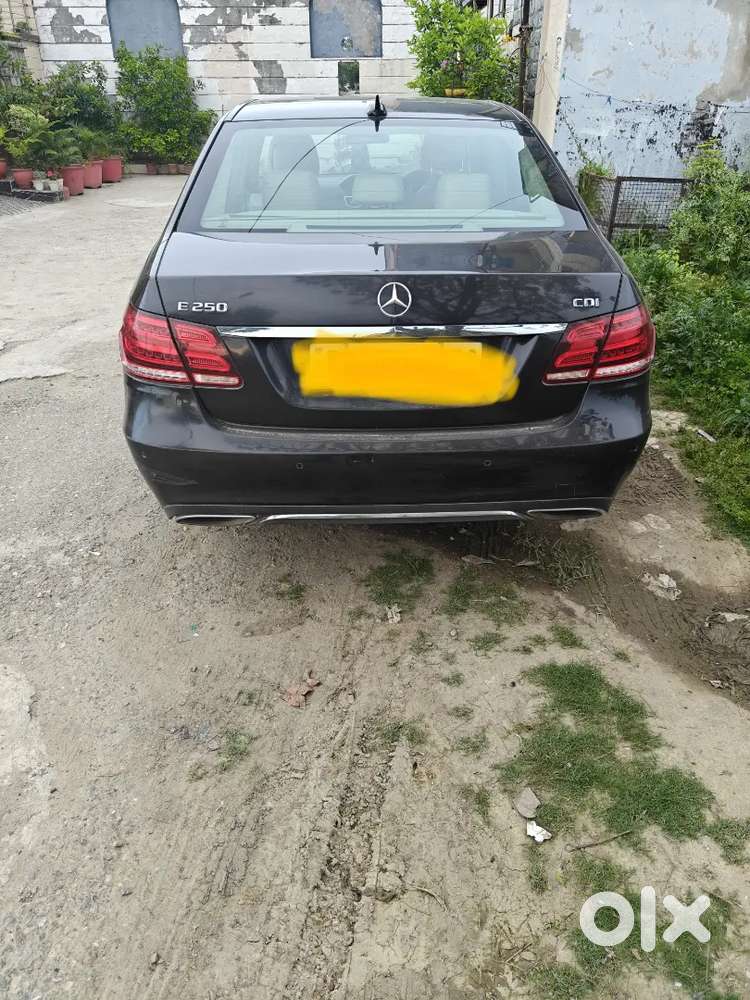 Mercedes Black Beast