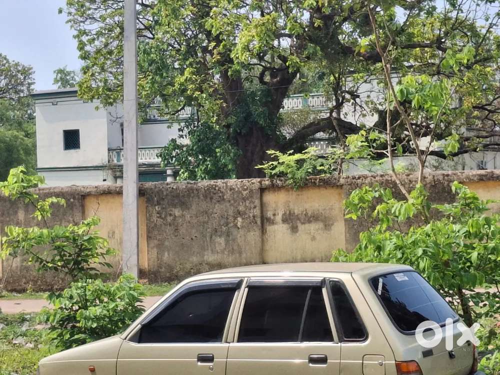 Maruti 800