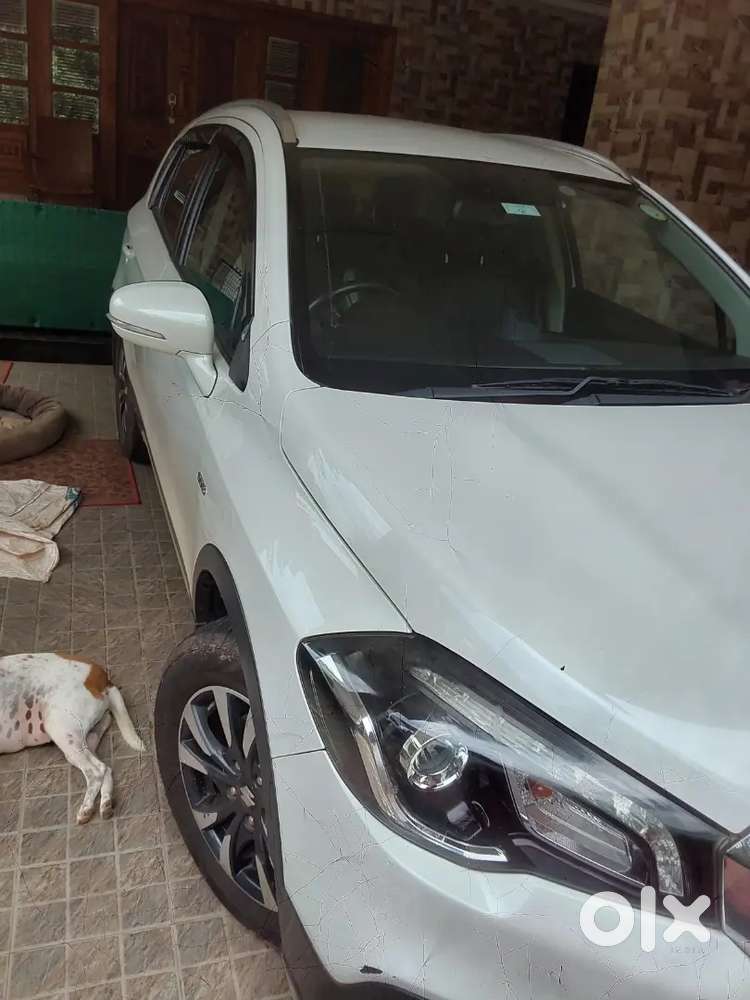 Maruti Suzuki S-cross 2019