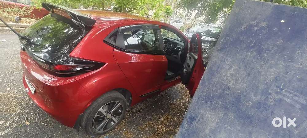 Showroom Maintenance And Good Condition