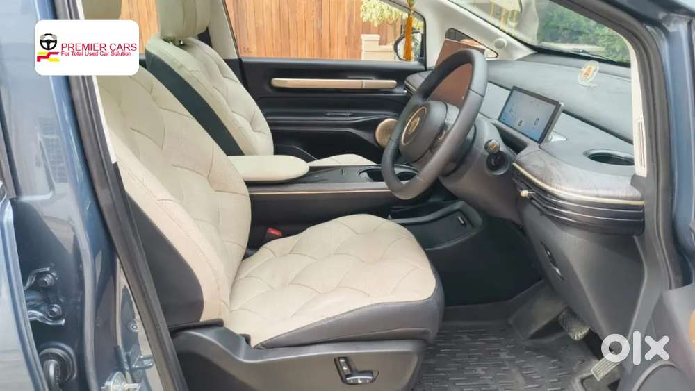 Mg Windsor Ev, 2026, Electric
