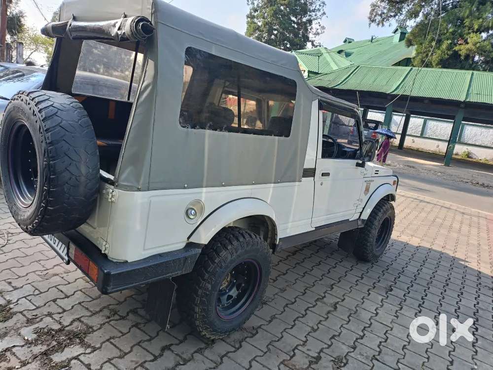 Gypsy King... All Papers  Are Up To Date