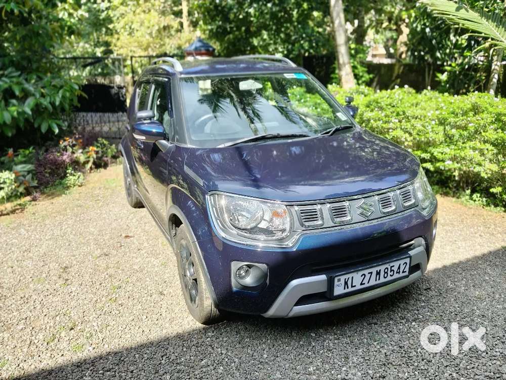 Maruti Suzuki Ignis Petrol 2024