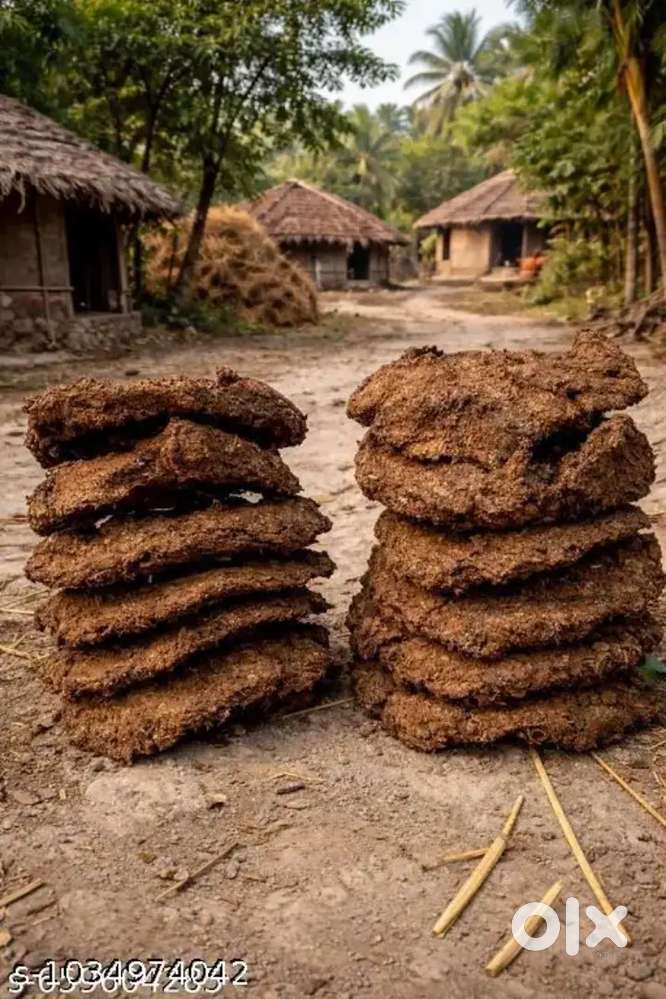 Cow dung cake