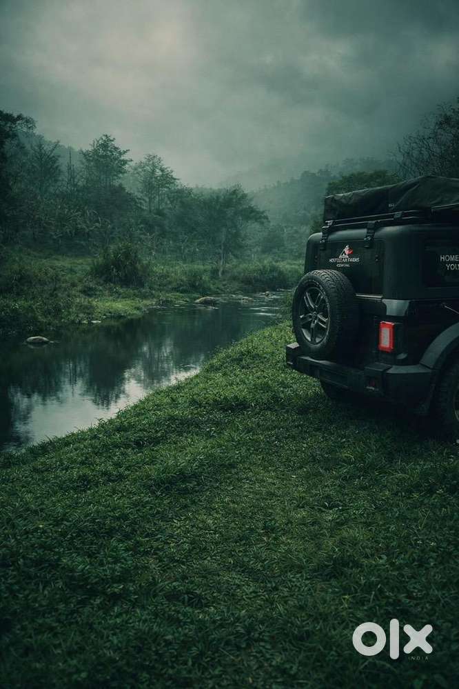 Mahindra Thar 2024 Petrol 25000 Km Driven